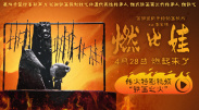 国产精品线在线精品国语