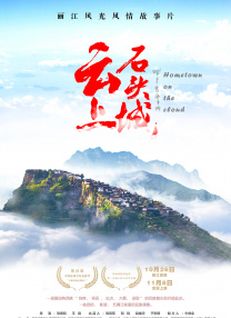 成人在线精品视频