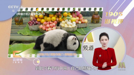 伊人网综合在线观看